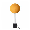 Pied lampe APAPA