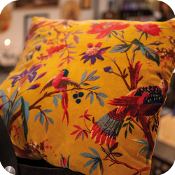 Coussin velour Birdy
